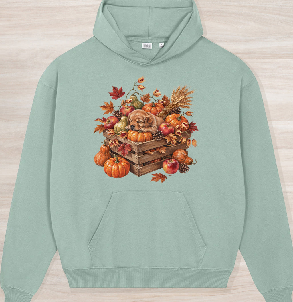 Fall Dog V Organic Oversized Hoodie